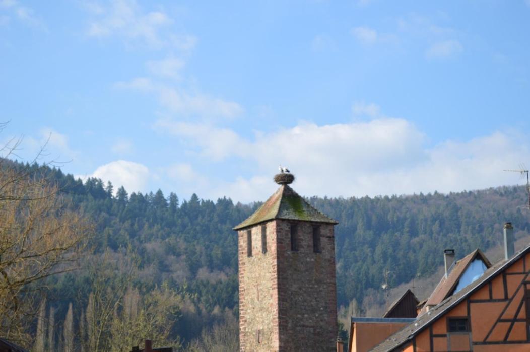 Apartmán Coeur D'Alsace Kaysersberg-Vignoble Exteriér fotografie